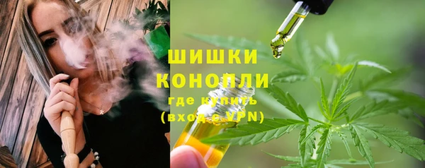 ПСИЛОЦИБИНОВЫЕ ГРИБЫ Волосово