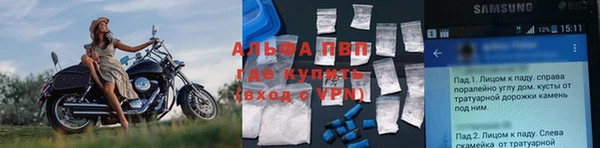 трава Верея