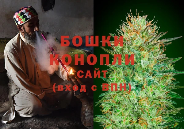 ПСИЛОЦИБИНОВЫЕ ГРИБЫ Волосово