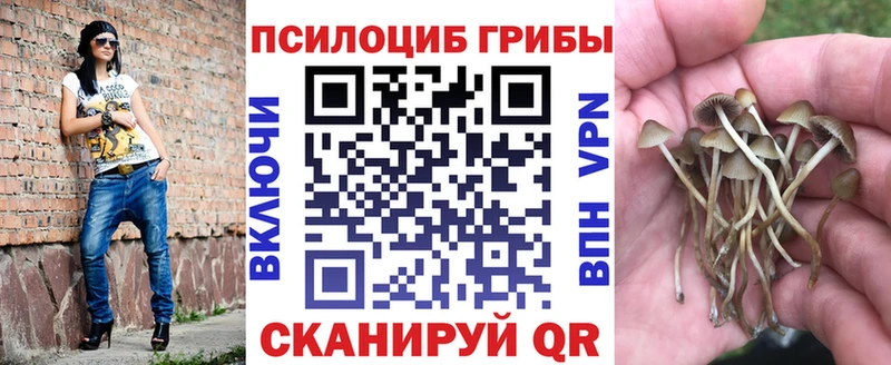 Купить закладки  Ишимбай  Галлюциногенные грибы GOLDEN TEACHER 